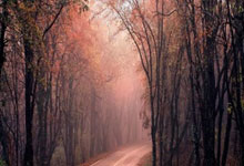 养卡POS机要冻结押金吗？信用卡怎么养？